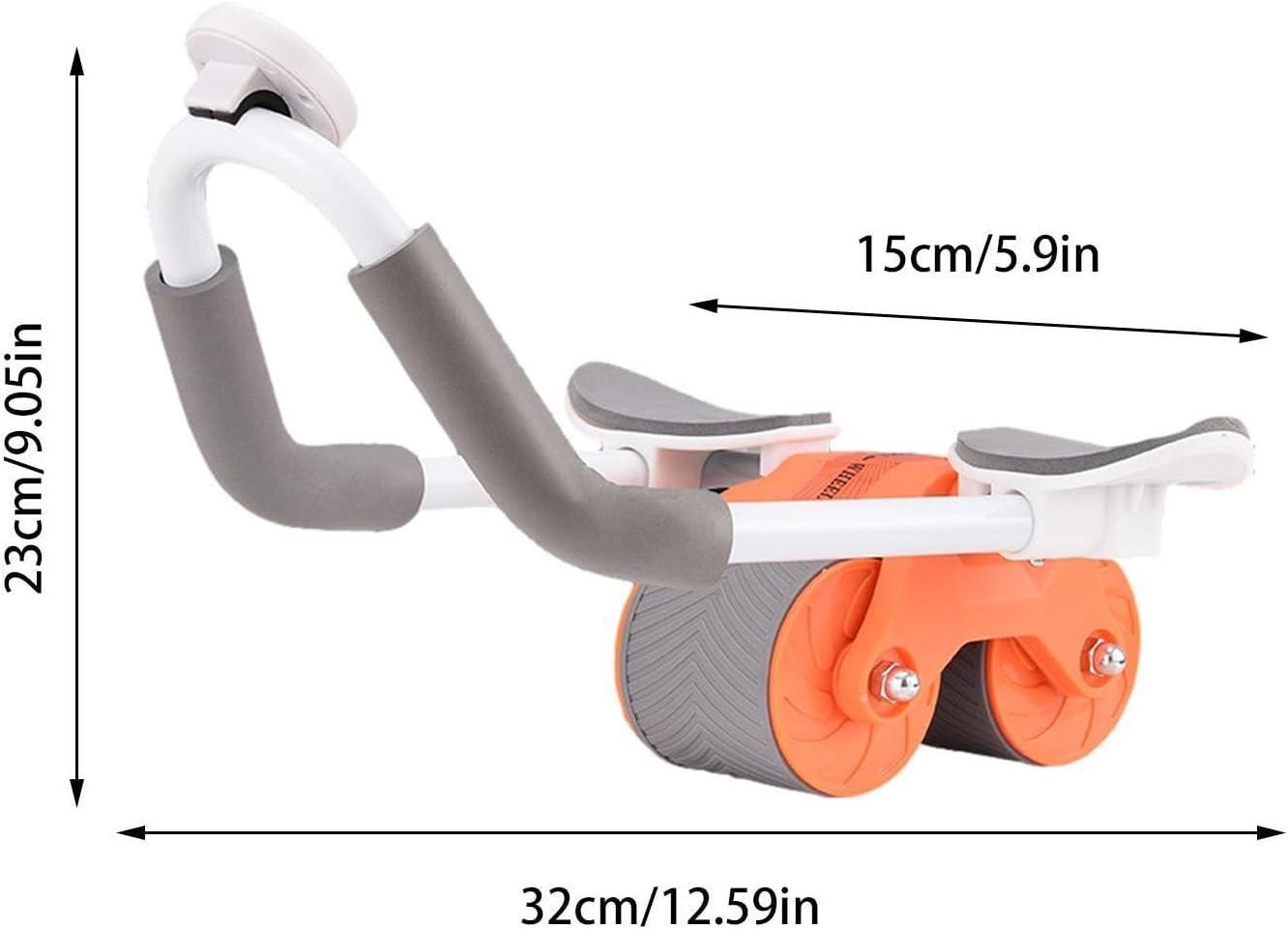 Alpha Abs Roller