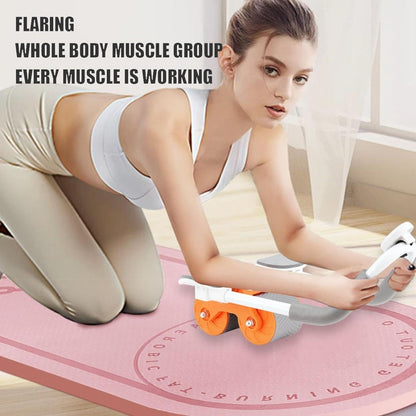 Alpha Abs Roller
